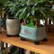 Gardenised 24-Pack Pot Feet - Solid Rubber Risers with Non-Slip Grip for Outdoor & Indoor Planters Flower Pots and Containers - Prevents Stains Rot and Moisture Damage on Wood Cement and Tile Surfaces